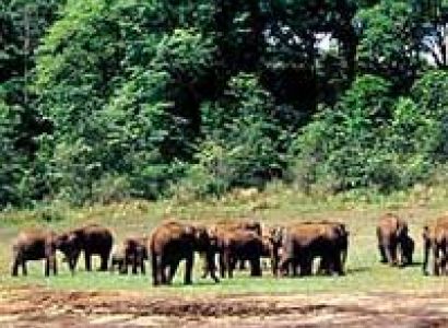 Kerala Honeymoon Tour