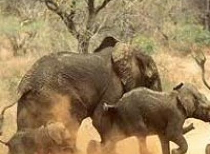 Discounted Kenya Package