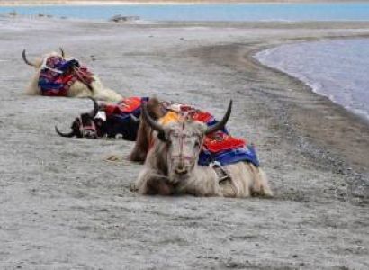 5 Nights 6 Days Leh Ladakh Tour Packages