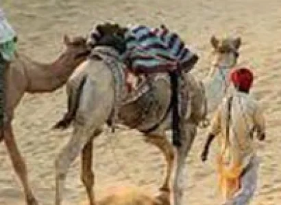 Rajasthan with Gujarat Tour