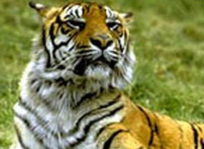 Rajasthan Heritage Tour Package