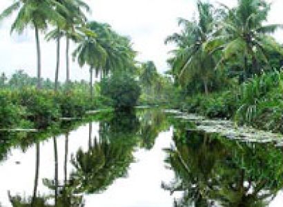 Best of Kerala Tour for 5D/4N