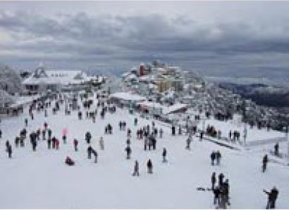 Shimla - Manali Tour