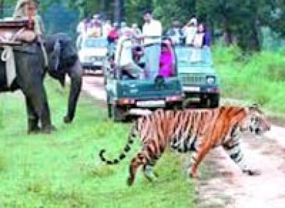 Corbett Student Group Tour 2N / 3D Tour