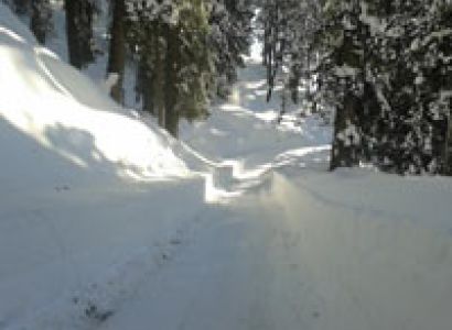 Complete Himachal Tour