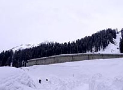Manali Honeymoon Package