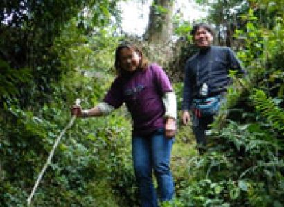 Trek in  Darjeeling 