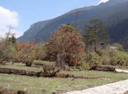 Holiday Tour To Sikkim