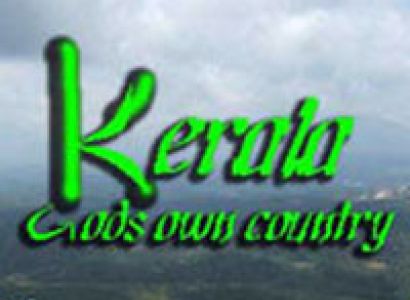 3N & 4D Wayanad Honeymoon Package