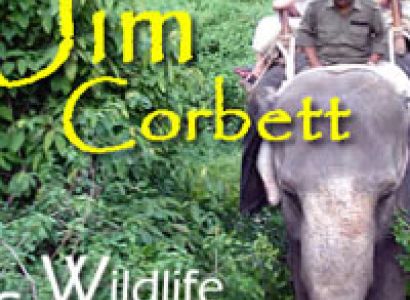 Nainital Corbett Tour Package