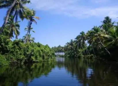 Kerala Tour Packages for Couple 3 Nights 4 Days
