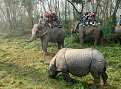 Kathmandu - Pokhara - Chitwan Tour Package
