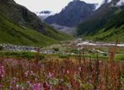 Valley Of Flowers Ex Delhi Package