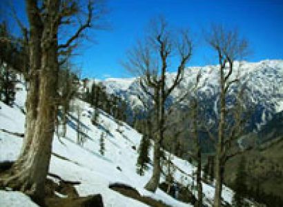 Wonders of Himachal