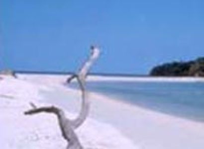 Andaman Tour Package 21
