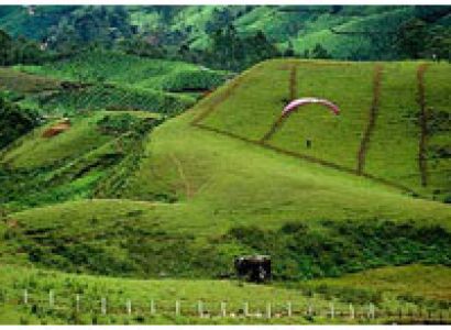 3 Days Budget Tour Alleppey & Munnar