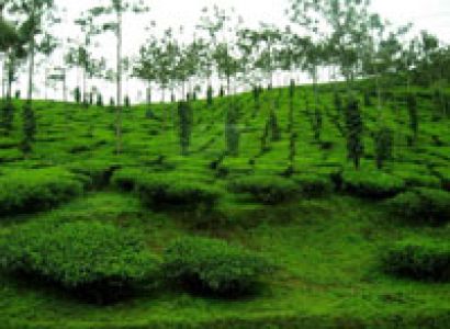 Kerala Romantic Package - 2 nights Kovlam, 1 night Alleppey (Houseboat) & 1 night Cochin