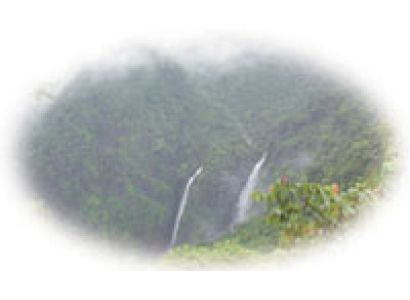 Goa Tour Package with Waterfalls view Cottages (3 star 
