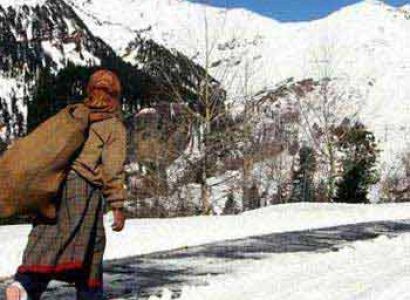 Best Of Shimla And Manali Package