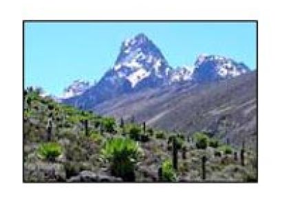 Trekking Mt. Kenya Tour Package