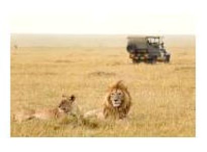 Meet The Big Five Tour