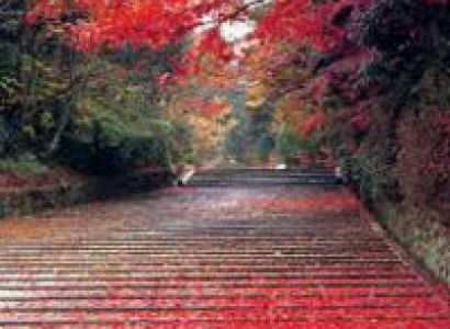 Kingdom of Kumaon Tour