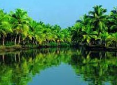 Short Tour of Wayanad