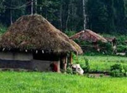 Wayanad & Kabini from Bangalore Tour