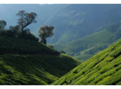 Munnar Tour Packages Image