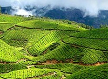 Captivating Kerala Tour