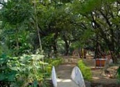 Amazing Family Tour Balaji