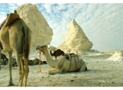 White Desert and El Bahariya Oasis Package 3 Days/2 Nights