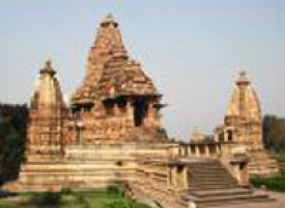 Wildlife Tour in Madhya Pradesh