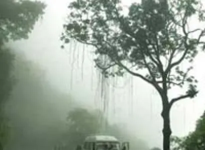 Honeymoon Tour Package