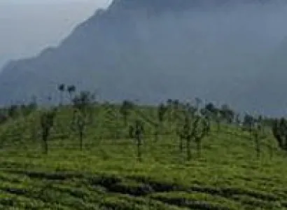 Ooty Tour Package