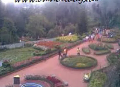 Mysore - Ooty - Coonoor Tour(2N/3D)