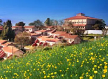 Ooty - Conoor Package