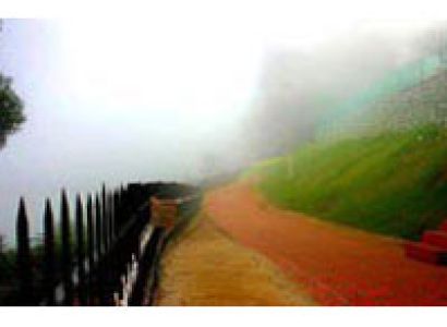 Kodai Budget Bus Tour