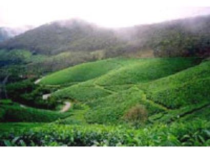 Enchanting Kerala Package