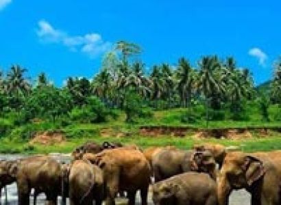 Explore Sri Lanka Tour