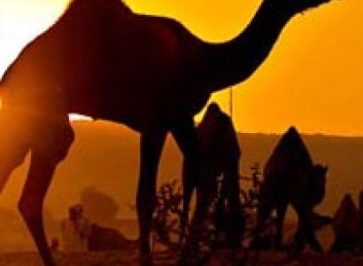 Royal Rajasthan Tour