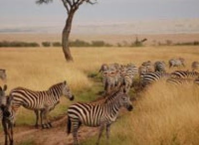 10 Days Kenya Bush and Beach Holiday Package