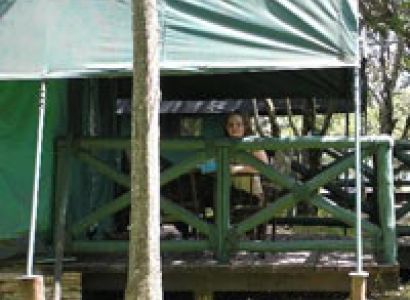 Masai Mara Joining Budget Camping Safari Tour 3 Days - 2 Nights