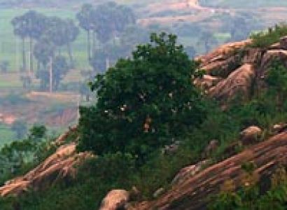 Culture of Odisha Tour