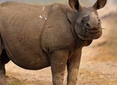 Guwahati - Nameri Wild Life Sanctuary Tour