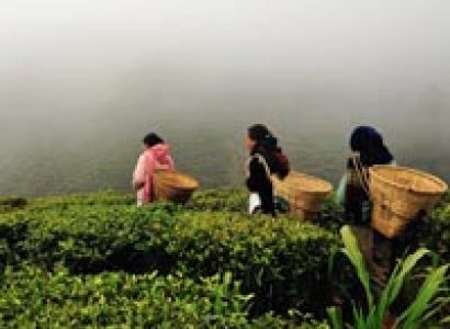 Darjeeling - Sikkim Tour Package