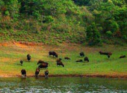 Southern India Package