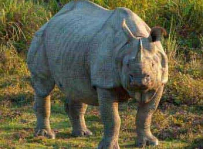 Eastern India Package