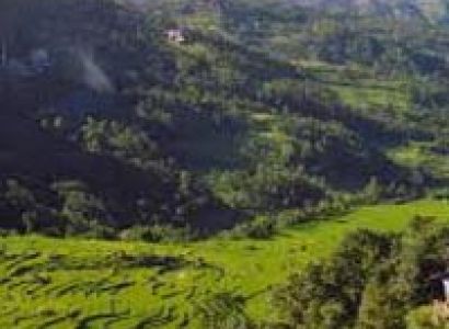 Tribals Of Nagaland Tour