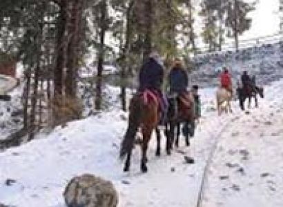 Shimla Short Tour